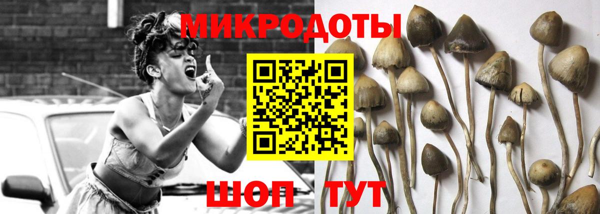 Галлюциногенные грибы ЛСД Тюмень