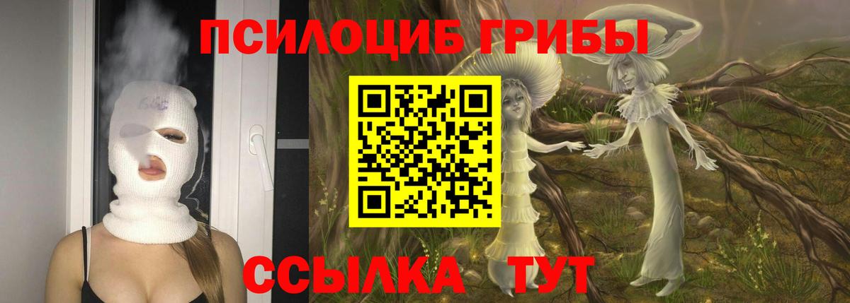 Псилоцибиновые грибы Psilocybine cubensis  Вход с VPN  Тюмень 